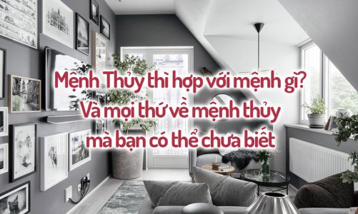 Mệnh Thủy thì hợp với mệnh gì? Và mọi thứ về mệnh thủy mà bạn có thể chưa biết